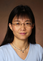 Dr. Wenfang Sun