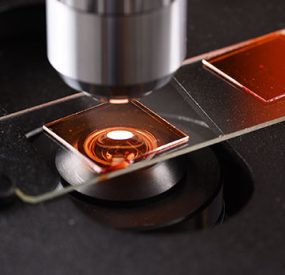 glowing red microscope slide