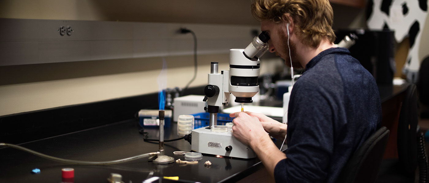student in a lab looking in a microscope